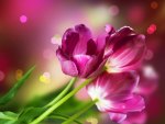 Wallpaper with tulips