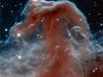 Horsehead nebula in Infrared