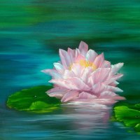 Water Lily