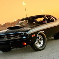 Muscle Car