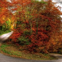 mountain road in autumn hdr