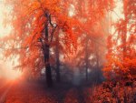 Autumn orange