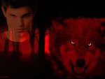 Jacob/Wolf