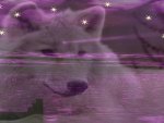 Purple Wolf Dreams