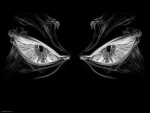 EYES OF EVIL