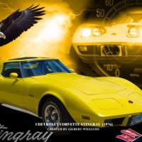 Gilbert's 1976 vette with Eagle