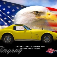 Gilbert's 1976 vette flag-eagle