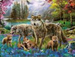 Wolf Family