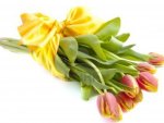 Bouquet of Tulips.
