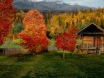 Cabin in Autumn Countryside
