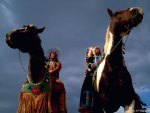 Native American on Horses