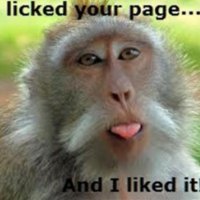 YOU Asked for It-----