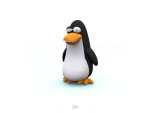 Silly Penguin