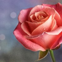  â™¥I LOVE YOUâ™¥