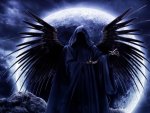 ~Dark Angel~