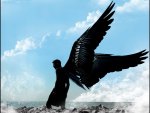 ~Dark Angel~