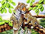 Leopards