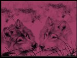 Pink Wolf Fantasy