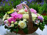 Basket with flowers for all DN friends