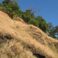 Matheran Hill Station, India