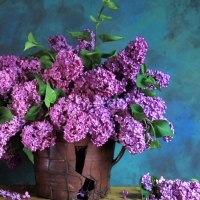 Lilacs