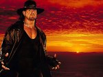 wwe the undertaker