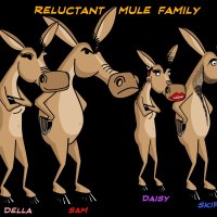 The reluctant mule and family