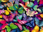 butterflies