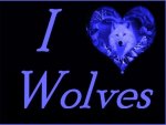 I Love Wolves