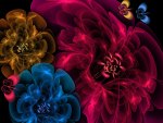 Fractal Flowers