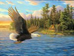 Eagle over Lake