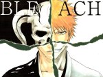 Bleach