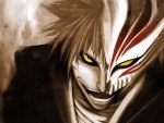 hollow ichigo