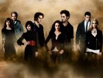 twilight - cullens