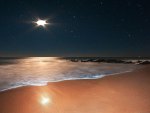Moon Beach