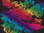 Rainbow Butterflies