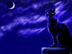 Moon Cat