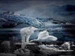 Beautiful White Wolf Fantasy
