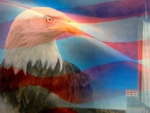 Star Spangled Banner Bald Eagle