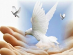 Doves of Peace