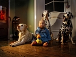 Boy and dogs