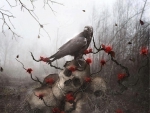 Crow And Skulls