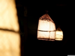 Japanese Lantern