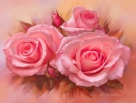 Pretty pink roses