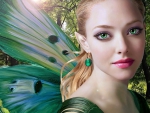 beautiful fairy