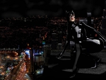 CATWOMAN ON ROOFTOPS