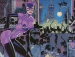 THE CATWOMAN
