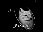 FOXY