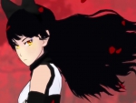 RWBY - Black