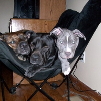 lil' bit, otep, and kratos